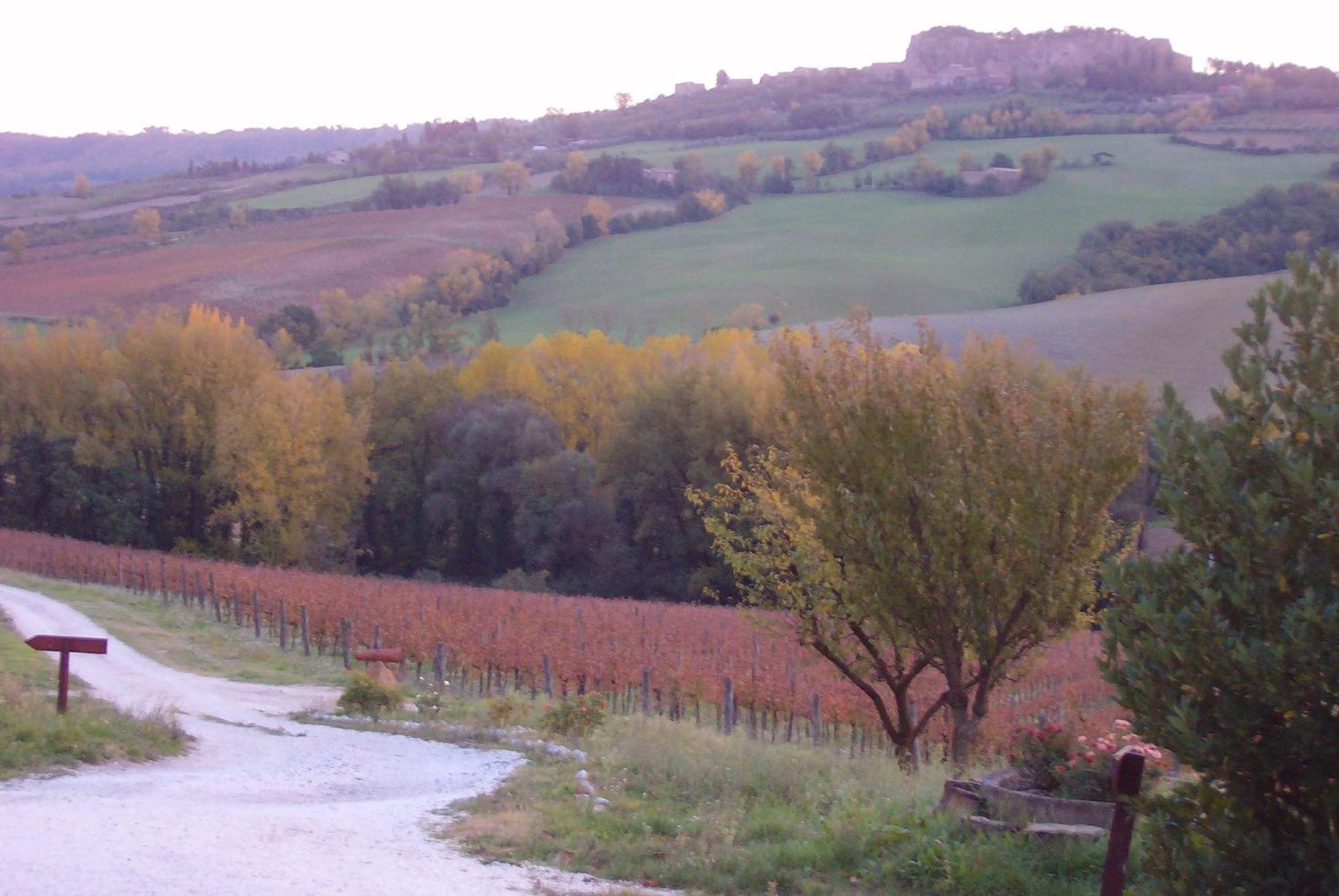 Agriturismo Cioccoleta Orvieto Exteriör bild